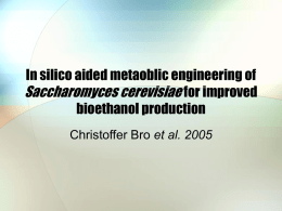 In silico aided metaoblic engineering of Saccharomyces