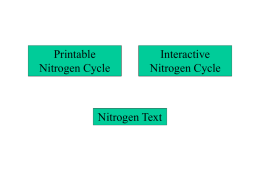 Nitrogen Cycle, Interactive