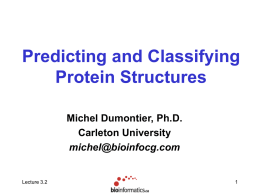 Predicting and Classifying Protein Structures