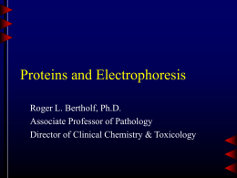 Proteins and Electrophoresis