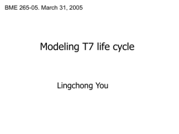 Modeling T7 life cycle