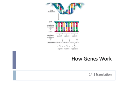 How Genes Work - Cochise College