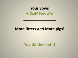 Your Sows + DLM Sow Bio _______________ More litters and