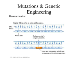 Mutations & Genetic Engineering