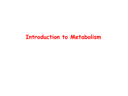 Metabolizma - mustafaaltinisik.org.uk