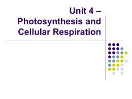 Unit 1 - Cells: The Functional Unit of Life