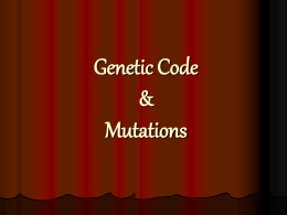 Genetic Code & Mutations