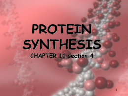 Protein Synthesis - Doral Academy High School