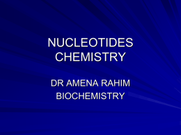 Nucleotides: Synthesis and Degredation