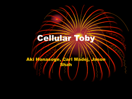 Cellular Toby - Hinsdale Township High School District 86