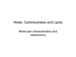 Carbohydrates and Lipids - Washington State University