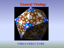 General Virology - California State University, Fullerton