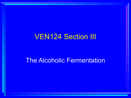 VEN124 Section III
