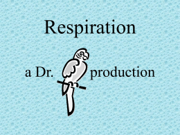Respiration - Dr. Annette M. Parrott