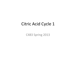 Citric Acid Cycle 1 - Indiana University