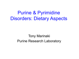 Purine & Pyrimidine Disorders: Clinical Aspects