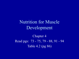 Nutrition for Muscle Development