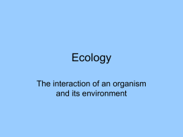 Ecology - plant phys