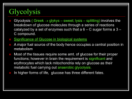 Glycolysis - Study in Universal Science College