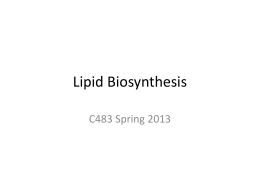 Lipid Biosynthesis - Chemistry Courses: About: Department