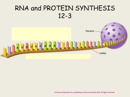 RNA and PROTEIN SYNTHESIS 12-3