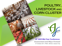 POULTRY, LIVESTOCK AND CORN CLUSTER