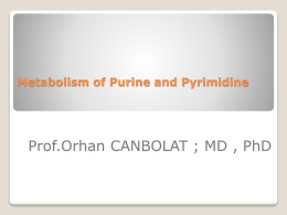 Slayt 1 - Prof.Dr.Orhan CANBOLAT