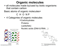 Organic Molecules aka Macromolecules