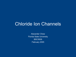 Chloride Ion Channels - FSU Program in Neuroscience