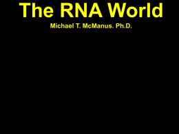 Lecture 9 RNA world and emegence of complexity