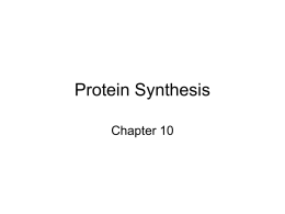Protein Synthesis - science4warriors