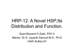 HRP-12: A Novel HSP,its Distribution and Function