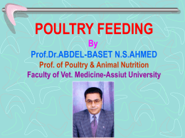 POULTRY FEEDING - Assiut University