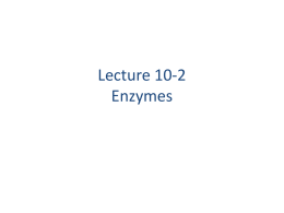 Lecture 10-2 Enzymes - Pima Community College