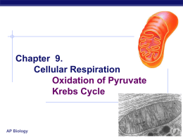 Chapter 9. Cellular Respiration Kreb’s Cycle