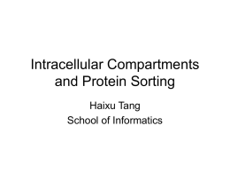 Intracellular Compartments and Protein Sorting