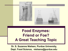 Food Enzymes: Friend or Foe? A Great Teaching Topic