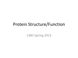 Protein Structure/Function