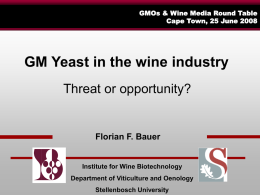 GM yeast in the wine industry