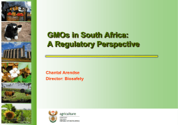 GMOs in South Africa: A Regulatory Perspective
