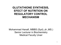 GLUTATHIONE SYNTHESIS, EFECT OF NUTRITION ON IT …