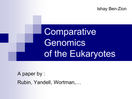 Comparative Genomics of the Eukaryotes