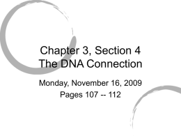 Chapter 3, Section 4 The DNA Connection