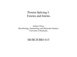 [] Protein Splicing i) inteins and ext...,