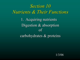 Digestion & absorption of carbs & proteins