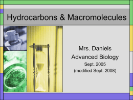 Hydrocarbons & Macromolecules
