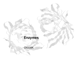 Enzymes - Michael P. Ready