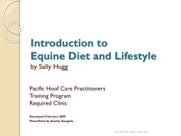 Introduction to Diet and Lifestyle by Sally Hugg