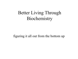 Biochemistry for Bioinformaticians