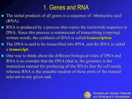 Genes and RNA